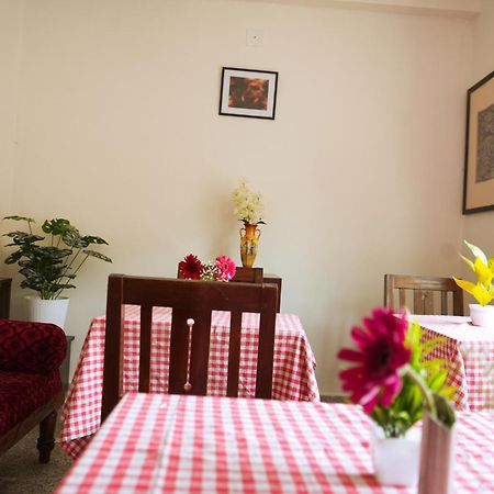Mother Tree Inn Kochi 외부 사진